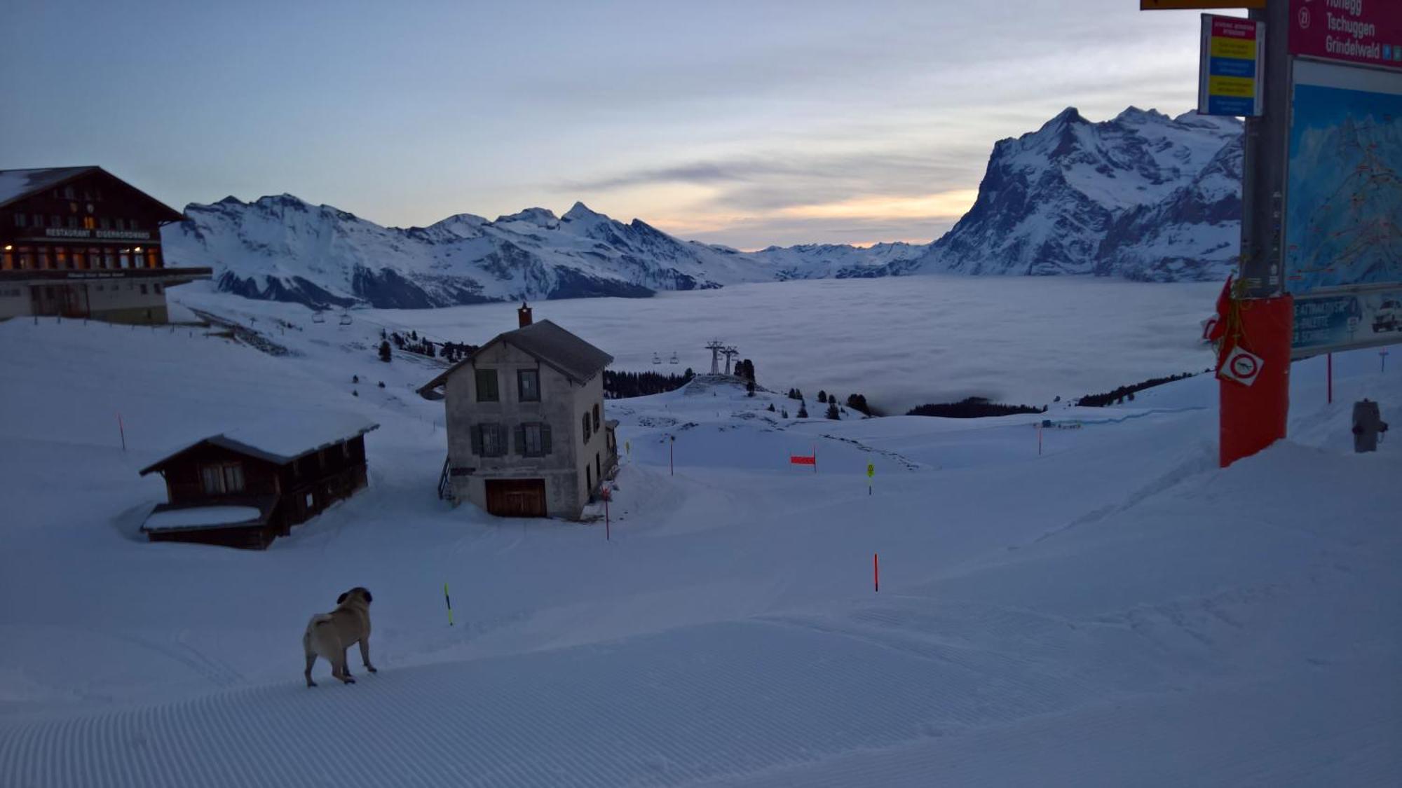 Lodge Bergrestaurant Kleine Scheidegg Exterior photo